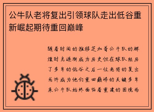 公牛队老将复出引领球队走出低谷重新崛起期待重回巅峰