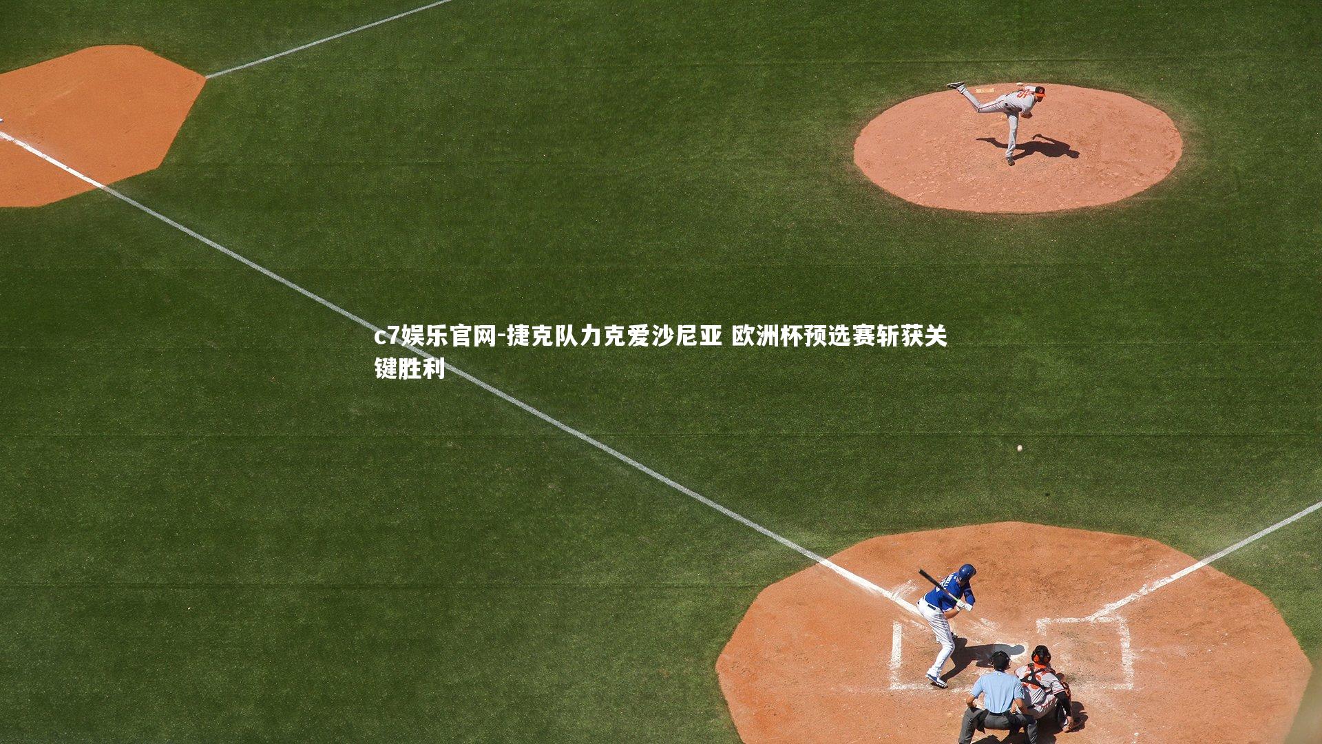 捷克队力克爱沙尼亚 欧洲杯预选赛斩获关键胜利